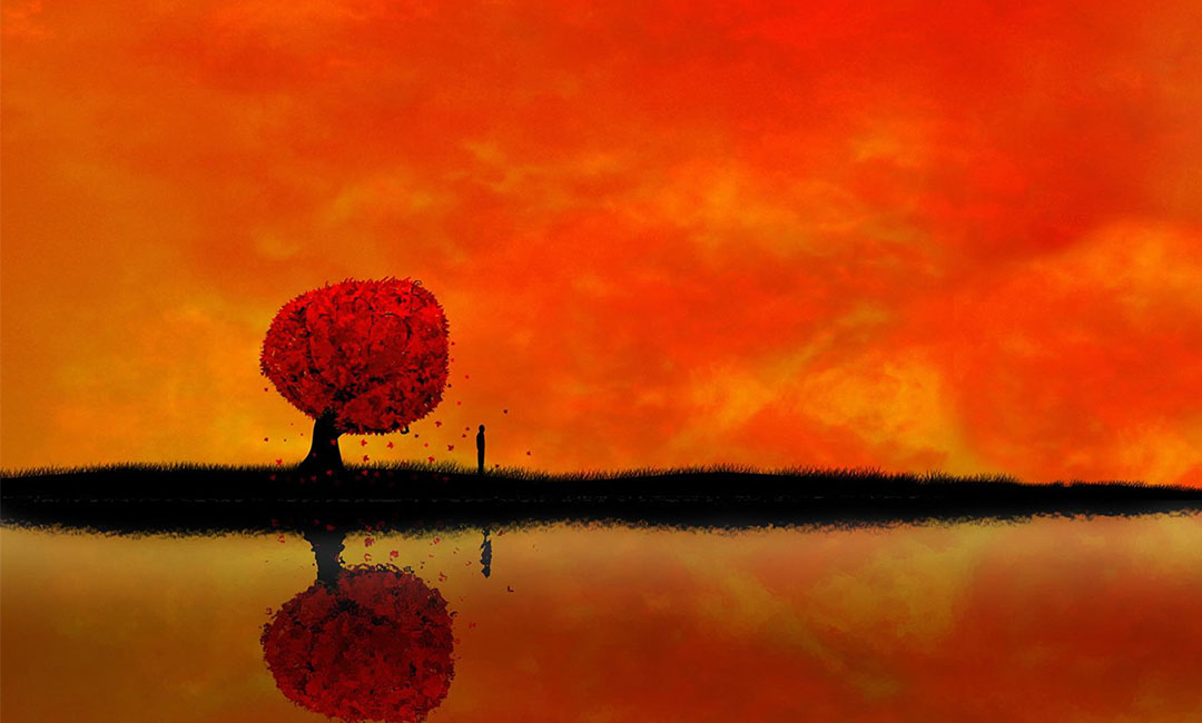 忠县笙影微信朋友圈转发案例