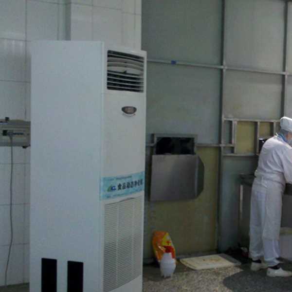 忠县食品正负离子空气杀菌器